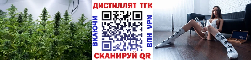 ТГК THC oil  где купить наркоту  Ирбит 